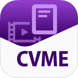CV Metadata Extraction Tool